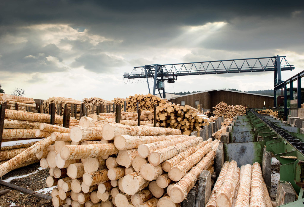 Adjusters International Lumber and Hardware Claim