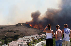 Brush Fire